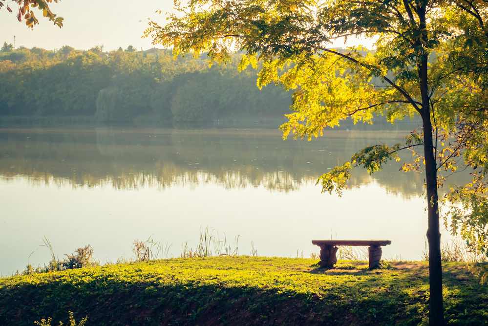 BenchRiver