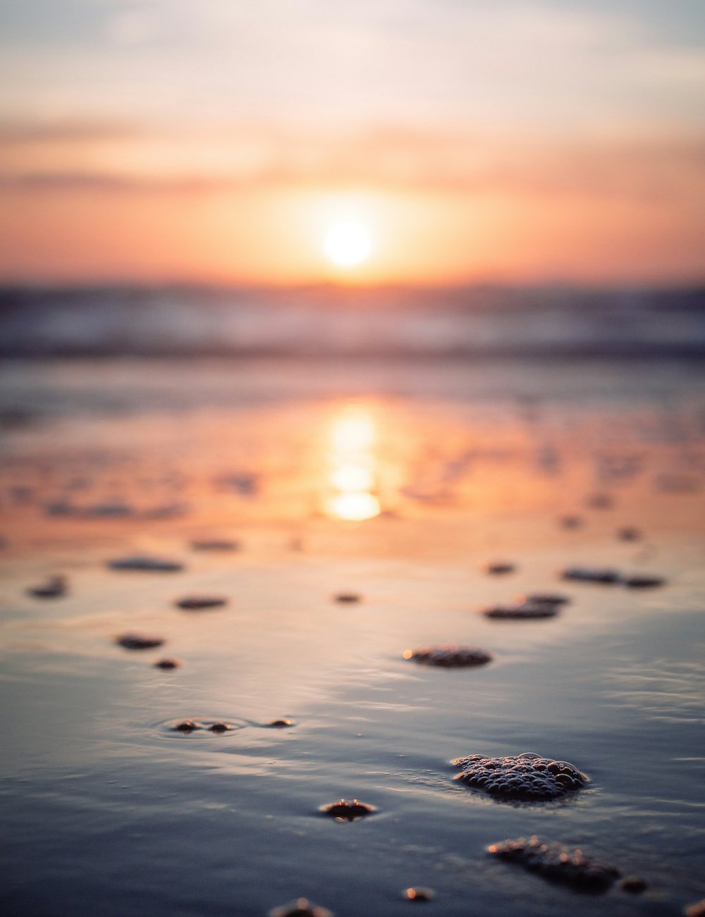 pebbledBeach